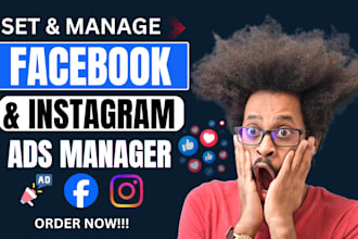 setup high converting meta ads facebook marketing and instagram advertising