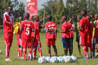 provide expert soccer tactical analysis and training plans