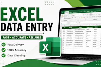 do excel data entry, word formatting and powerpoint presentation
