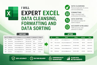 expert excel data cleansing, formatting and data sorting
