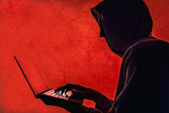perform professional website security audit