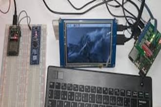 develop stm32 raspberry esp32 project