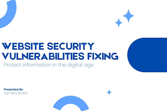 test your website for security vulnerabilities and provide full report
