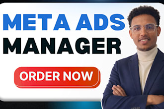 be your data driven meta ads manager