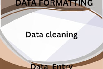 ms excel data formatting , data entry
