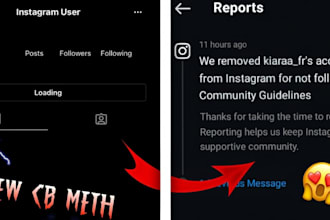 takedown ig banning bot, mass reporting, fb banning, mass report youtube,mass dm