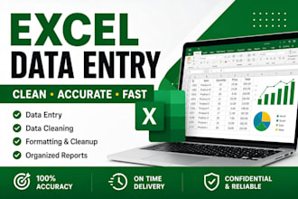 organize, format and clean excel spreadsheets