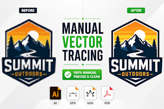 do vector tracing or convert to vector quickly