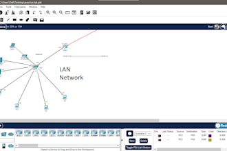 do cisco paacket tracer lab and assignment porject