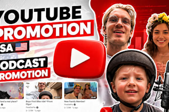 do professional usa youtube video promotion