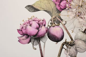 design vintage botanical, mystic, illustration logo