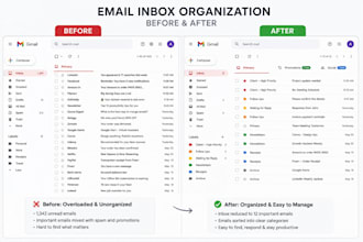 manage and organize your email inbox professionally