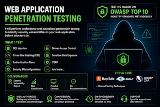 perform professional web penetration testing and audit