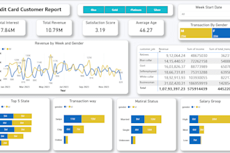 create a professional power bi dashboard and data visualization