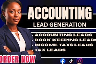 500 exclusive accounting leads facebook ads, book keeping leads google ads