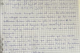translate arabic french spanish texts accurately