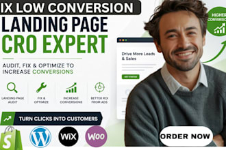 audit fix and optimize your landing page cro to increase google ads conversions