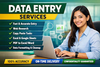 do professional data entry services with accuracy