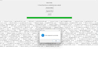 create a custom python file organizer desktop app