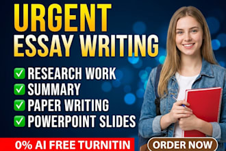 do essay writing as an essay writer expert