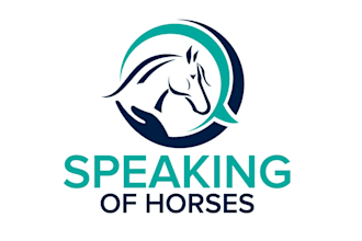 design modern horse logo