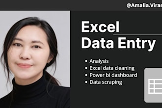 support excel data entry, analysis, data scrapping and powerbi