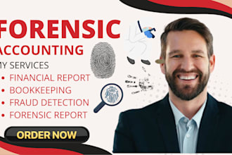 forensic accounting fraud investigation, financial audit asset tracing service