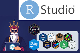 be your r programming guru
