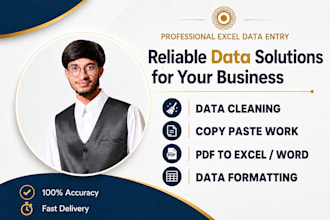do excel data entry, cleaning, formatting and invoice work