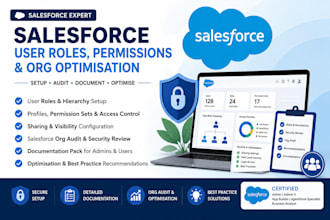 audit and optimise your salesforce org
