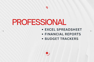 create professional excel spreadsheets, trackers and financial reports