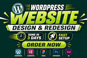 design a professional wordpress website for any niche