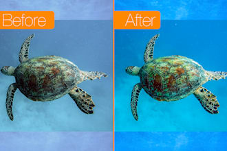restore your underwater photos as a divemaster and graphic designer