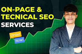provide onpage and technical SEO optimization