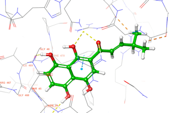 perform molecular docking and drug design analysis