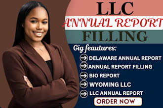 file wyoming, delaware llc annual report and boi as a CPA
