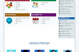 design and develop a professional school college or university website
