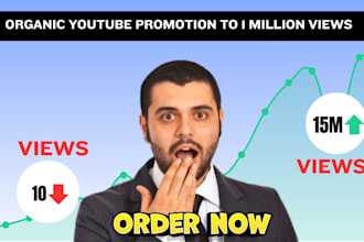 promote USA youtube video SEO to 1 million views with organic advance google ads
