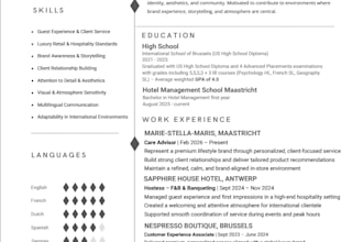 edit, rewrite, and optimize your CV or linkedin profile