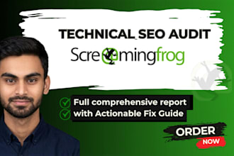 technical SEO audit screaming frog crawl and website audit report