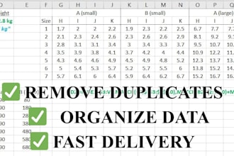 clean, format and organize your excel or CSV data