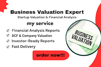 do business valuation, startup valuation and financial analysis