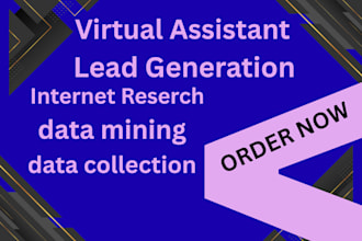 do b2b lead generation data entry web research for industry