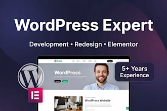 do website development, redesign website, wordpress website, wordpress expert