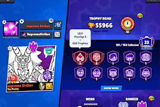 do a custom order for you on brawl stars