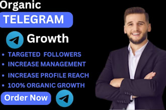 do crypto telegram promotion, increase telegram members, telegram subscribers