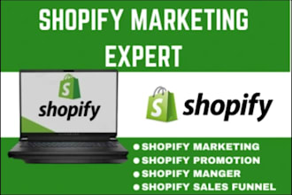 shopify marketing, boost shopify sales, shopify promotion, shopify SEO traffic