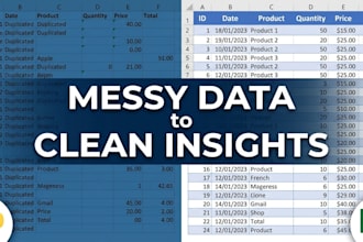 do professional data cleaning and organization using python