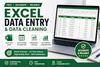 do excel data entry and data cleaning