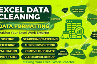 do excel cleaning sorting and formatting, spreadsheet analysis and data cleanup